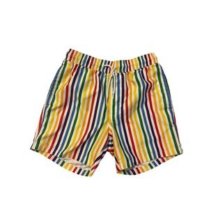 Trinity Collective Mens Rainbow Stripe Swim Trunks Multicolor Shorts Size Small